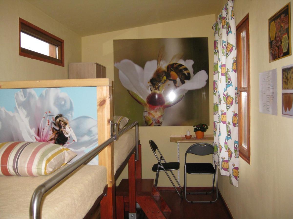 Apartmany Vcelka Hranice u Novych Hradu Ngoại thất bức ảnh